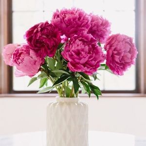 Meet your Posher, Leela